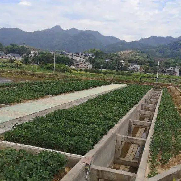 農(nóng)產(chǎn)品產(chǎn)地環(huán)境檢測(cè)與評(píng)價(jià)